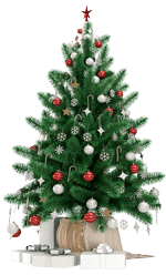 Frohe Weihnachten und ein Gesundes Neues Jahr 2023